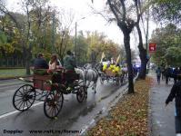Imagine atasata: Oktoberfest - 2014.10.16 - 07.jpg